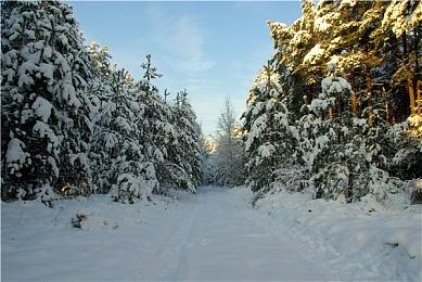 曝《心之眼》开发商开始大裁员 超100名员工受波及